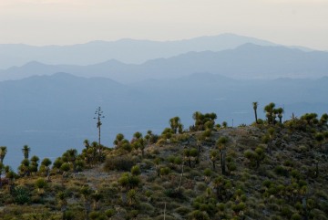 Real de Catorce || San Luis Potosí