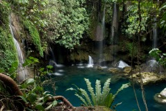 Cascada de Tamasopo || San Luis Potosí