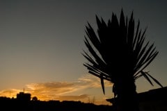 High Desert Sunset || Real de Catorce