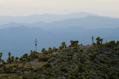 Real de Catorce || San Luis Potosí
