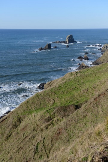 Ecola State Park || Cannon Beach, OR