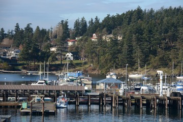 Friday Harbor || San Juan Island