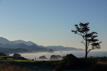 Haystack Rock at Ecola State Park || Cannon Beach, OR