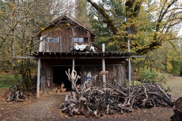 It's A Burl || Kerby, Oregon