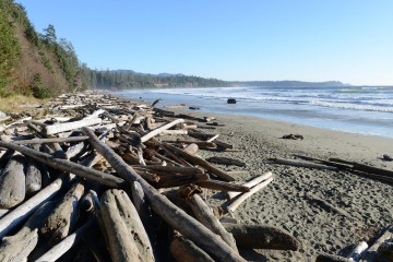 Little Beach || Ucluelet, BC, Canada