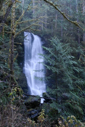 Merriman Falls || Olympic National Park, Washington