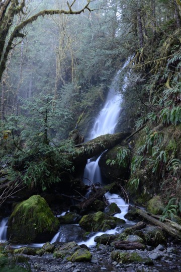Merriman Falls || Olympic National Park, Washington