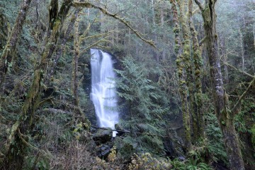 Merriman Falls || Olympic National Park, Washington