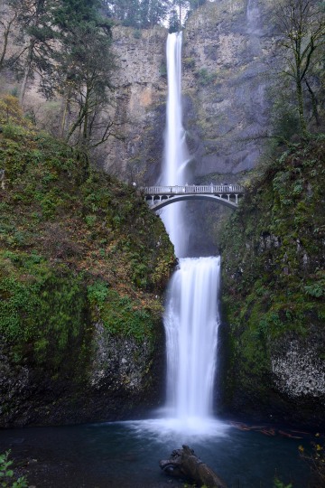 Multnomah Falls || Columbia River Gorge, Oregon