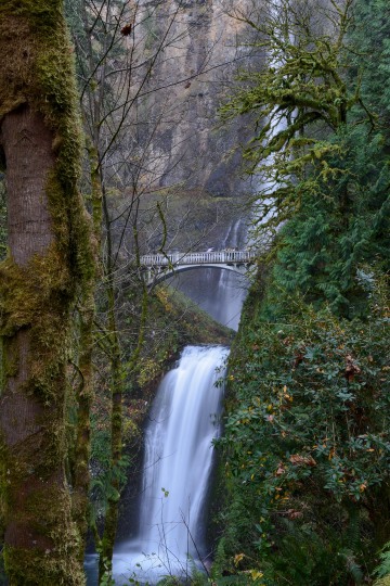 Multnomah Falls || Columbia River Gorge, Oregon