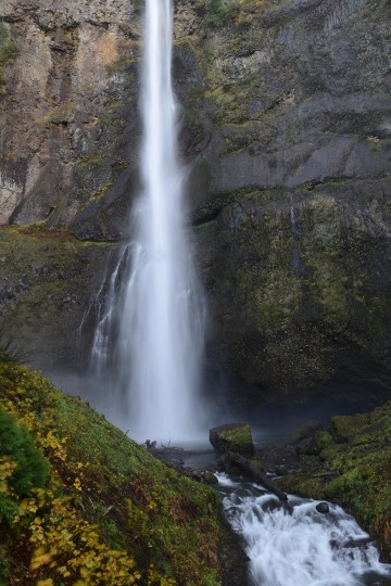 Multnomah Falls || Columbia River Gorge, Oregon