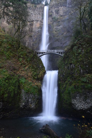 Multnomah Falls || Columbia River Gorge, Oregon