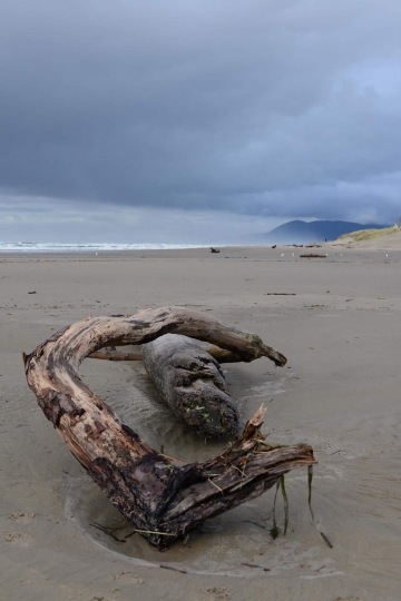 Nehalem Bay State Park || Oregon