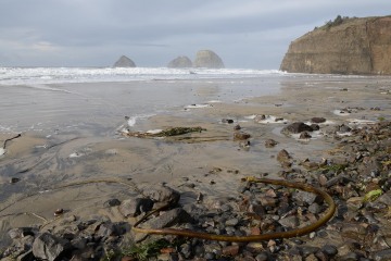 Oceanside || Oregon Coast