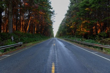 Oregon Coast Highway 101 || Olympic National Park, Washington