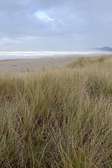 Pacific City Beach || Oregon