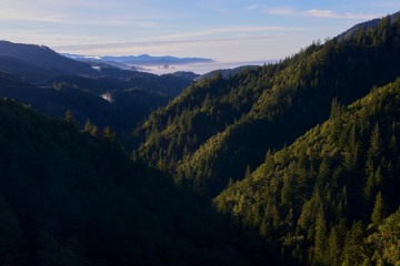 Pacific Vistas from Rogue River-Siskiyou National Forest || Oregon