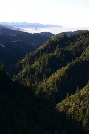 Pacific Vistas from Rogue River-Siskiyou National Forest || Oregon