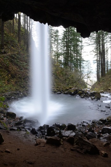 Ponytail Falls || Columbia River Gorge, Oregon