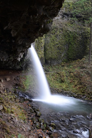 Ponytail Falls || Columbia River Gorge, Oregon