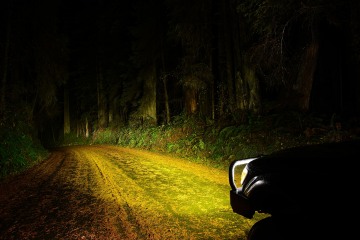 Prairie Creek Redwoods State Park || California