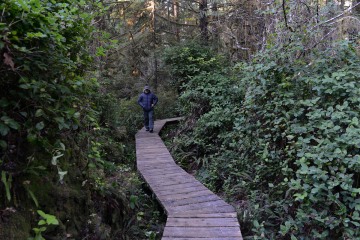 Rainforest Trail || Ucluelet, BC, Canada