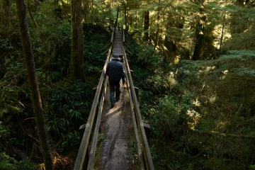 Rainforest Trail || Ucluelet, BC, Canada