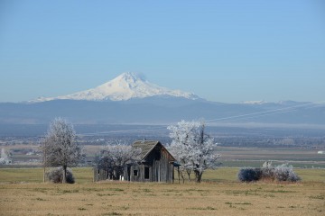 Ranch House and Mt. Hood || Oregon
