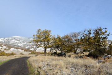 Ranch Road in First Snow || Cascade-Siskiyou National Monument, Oregon