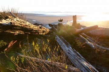 Ruby Beach || Olympic National Park, Washington