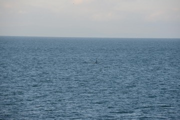 Sailing the Salish Sea || Strait of Juan de Fuca
