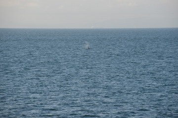 Sailing the Salish Sea || Strait of Juan de Fuca
