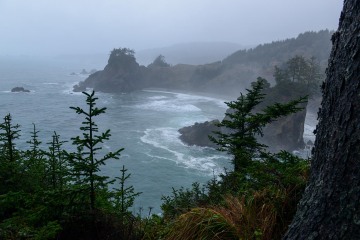 Seal Cove at Samuel H. Boardman State Scenic Corridor || Oregon Coast