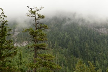 Stawamus Chief || British Columbia, Canada
