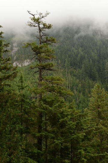 Stawamus Chief || British Columbia, Canada