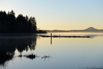 Sunset over Lake Quinault || Olympic National Park, WA