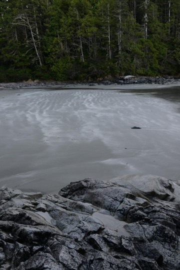 Tonquin Beach || Tofino, BC, Canada