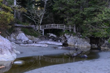 Tonquin Beach || Tofino, BC, Canada