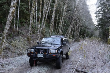 Toyota Tacoma || Olympic National Forest, WA
