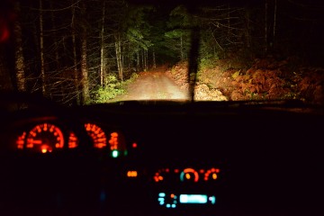 Toyota in Smith River National Recreation Area || California