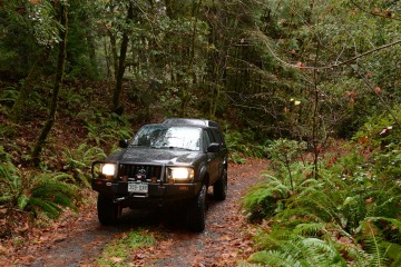 Toyota in Smith River National Recreation Area || California