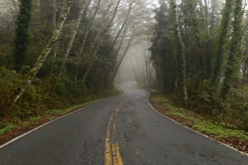 Tunnel of Trees along Newton B. Drury Scenic Pkwy || Prairie Creek Redwoods State Park, CA