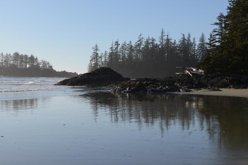 Wickaninnish Beach || Ucluelet, BC, Canada
