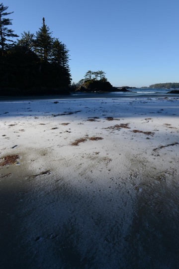 Wickaninnish Beach || Ucluelet, BC, Canada