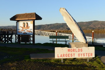 World's Largest Oyster || South Bend, WA