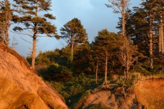 Cave & Waterfall on Beach || Hug Point State Recreation Site, Oregon
