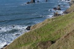 Ecola State Park || Cannon Beach, OR