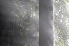 Fern Canyon Hike || Prairie Creek Redwoods State Park, CA