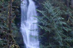 Merriman Falls || Olympic National Park, Washington