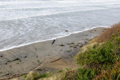 Oceanside || Oregon Coast